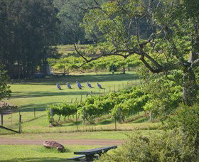 Wollombi Wines - Accommodation Broome 8