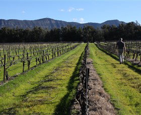 Around Hermitage Wine And Food Trail Hunter Valley - Accommodation Broome 1