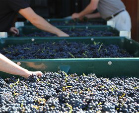 Around Hermitage Wine And Food Trail Hunter Valley - Accommodation Broome 6