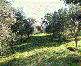 Langdale Farm - Accommodation Broome