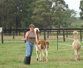 Langdale Farm - Accommodation Broome 4
