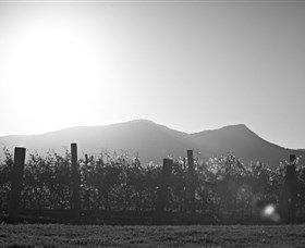 Scarborough Wine Co. - Accommodation Broome 1