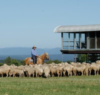 Tobruk Sydney - Accommodation Broome