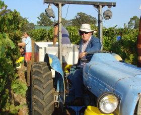 Pokolbin Brothers Wines Hunter Valley - Accommodation Broome 1