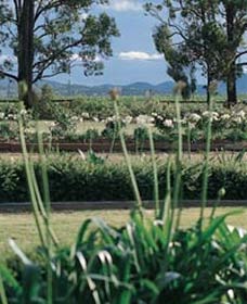 Vinden Estate Wines - Accommodation Broome 1