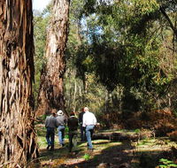 Tallaganda National Park - Accommodation Broome