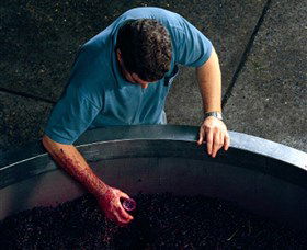 Calais Estate Wines - Accommodation Broome 2