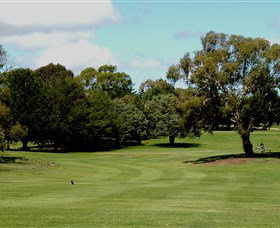 Cooma Golf Club - Accommodation Broome 1