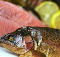 Lovedale Smokehouse Gourmet Pantry Cafe and Masterclasses - Accommodation Broome