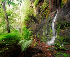 Fairy Bower Falls - Accommodation Broome 0