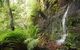 Fairy Bower Falls - thumb 2