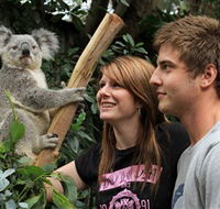Featherdale Wildlife Park - Accommodation Broome