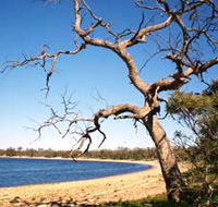 Lake Indoon - Accommodation Broome