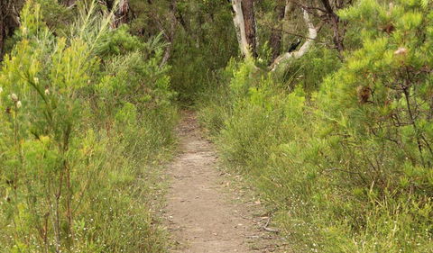 Three Views Walking Track - Accommodation Broome 0