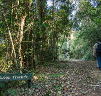 Basin Loop track