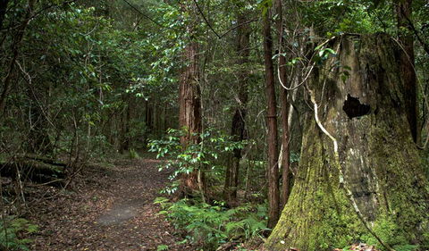 Jerusalem Creek Trail - Accommodation Broome 1