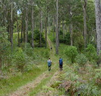 The Green Gully track - Accommodation Broome