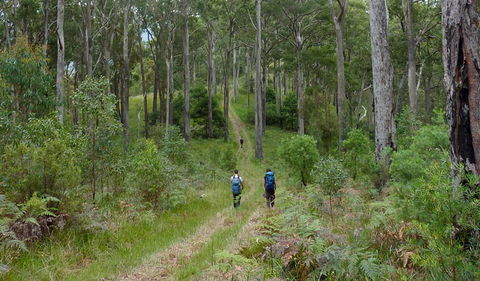 The Green Gully Track - Accommodation Broome 0