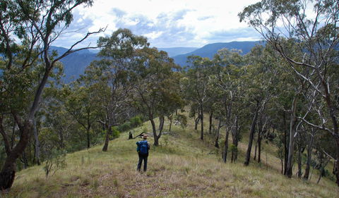 The Green Gully Track - Accommodation Broome 1