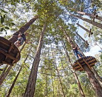 TreeTop Adventure Park Central Coast - Accommodation Broome
