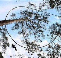 TreeTops Crazy Rider - Accommodation Broome
