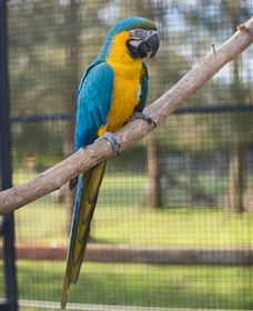 Amazement Farm And Fun Park / Cafe And Farmstay Accommodation - Accommodation Broome 8