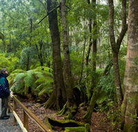 Monga National Park - Accommodation Broome