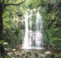 Budderoo National Park - The Falls Walk - Accommodation Broome