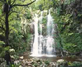 Budderoo National Park - The Falls Walk - Accommodation Broome 0