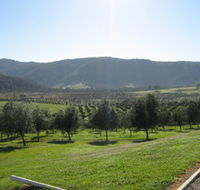 Hastings Valley Olives - Accommodation Broome