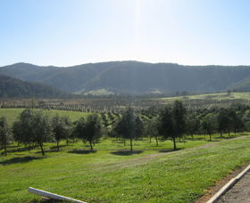 Hastings Valley Olives - Accommodation Broome 0