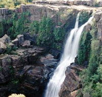Minnamurra Rainforest Centre Budderoo National Park - Accommodation Broome