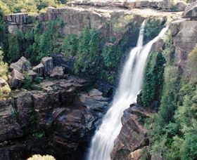 Minnamurra Rainforest Centre: Budderoo National Park - Accommodation Broome 0