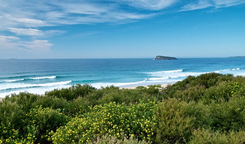 Tea Tree Picnic Area And Lookout - Accommodation Broome 3