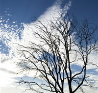 Nudgee Beach - Accommodation Broome