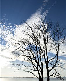 Nudgee Beach - Accommodation Broome 0