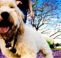 Tuckeroo Park - Accommodation Broome