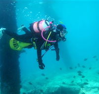 Shellharbour Scuba  Photography Centre - Accommodation Broome