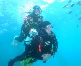 Shellharbour Scuba & Photography Centre - Accommodation Broome 1