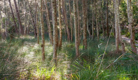 Anabranch Loop Track - Accommodation Broome 0