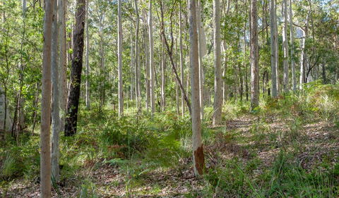 Anabranch Loop Track - Accommodation Broome 2