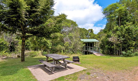 Antarctic Beech Picnic Area - Accommodation Broome 1