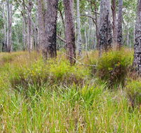 Narrawallee Inlet walking track - Accommodation Broome