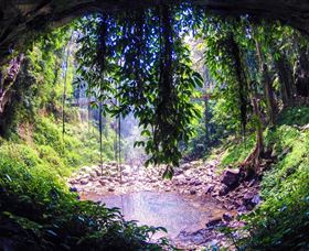 Dorrigo Rainforest Centre - Accommodation Broome 1