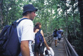 Wagawn - Accommodation Broome 1