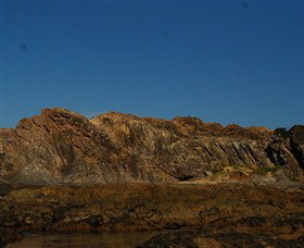 Batemans Bay Snorkelling Trail - Accommodation Broome 2