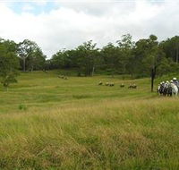 Numinbah Valley Adventure Trails - Accommodation Broome