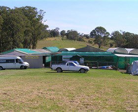 Tinonee Orchid Nursery - Accommodation Broome 0