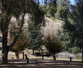 Oak Grove Walk, Balingup - Accommodation Broome 2