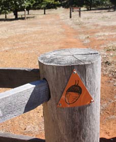 Oak Grove Walk, Balingup - Accommodation Broome 3